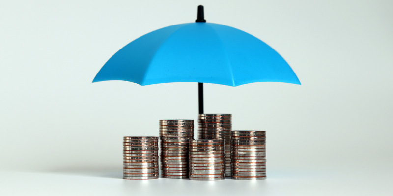 Maximizing Security: A Guide to Asset Protection Planning